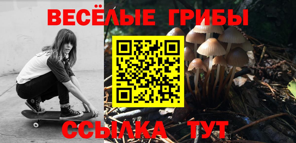Галлюциногенные грибы Psilocybe  Псилоцибиновые грибы Psilocybine cubensis  Вход с VPN  Коломна 